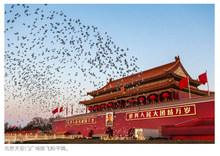 平博·pinnacle(中国集团)官方网站