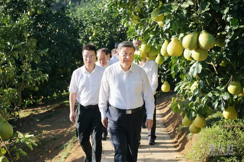 20251110084131_8925 平博·pinnacle(中国集团)官方网站